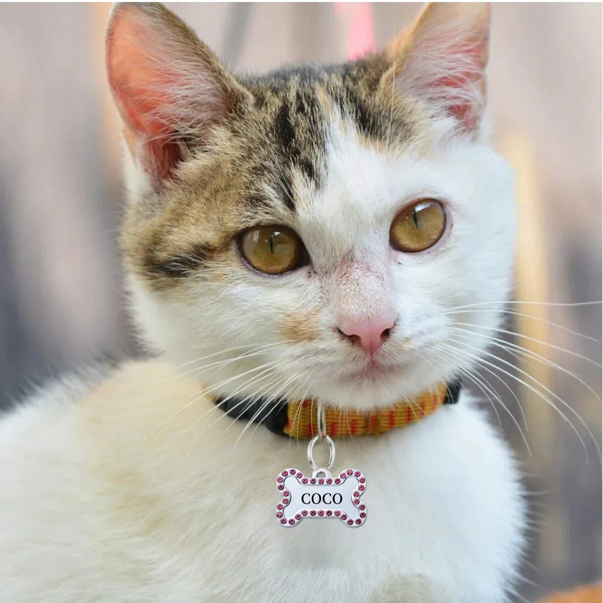 VIP Pets ID Tag Customizable Engraved  for Dog Cat Bronze Nameplate Tags Personalized  Address Number Dogs Collar ID Pendant
