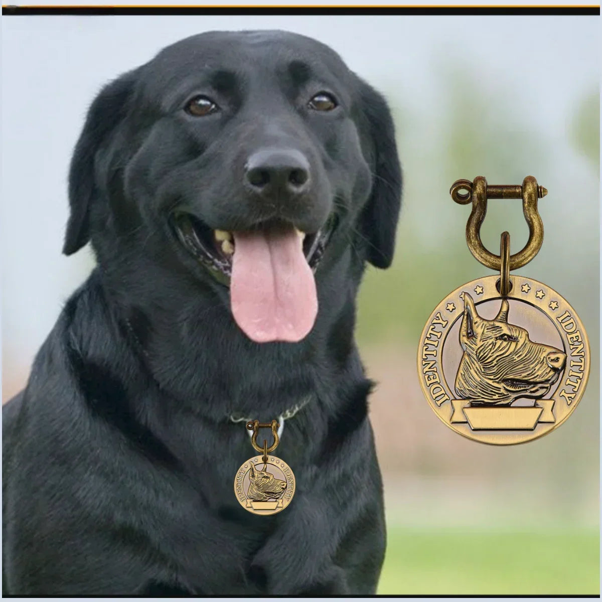 VIP Pets ID Tag Customizable Engraved  for Dog Cat Bronze Nameplate Tags Personalized  Address Number Dogs Collar ID Pendant